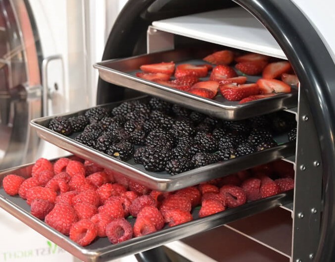 Berries in a freeze dryer tray