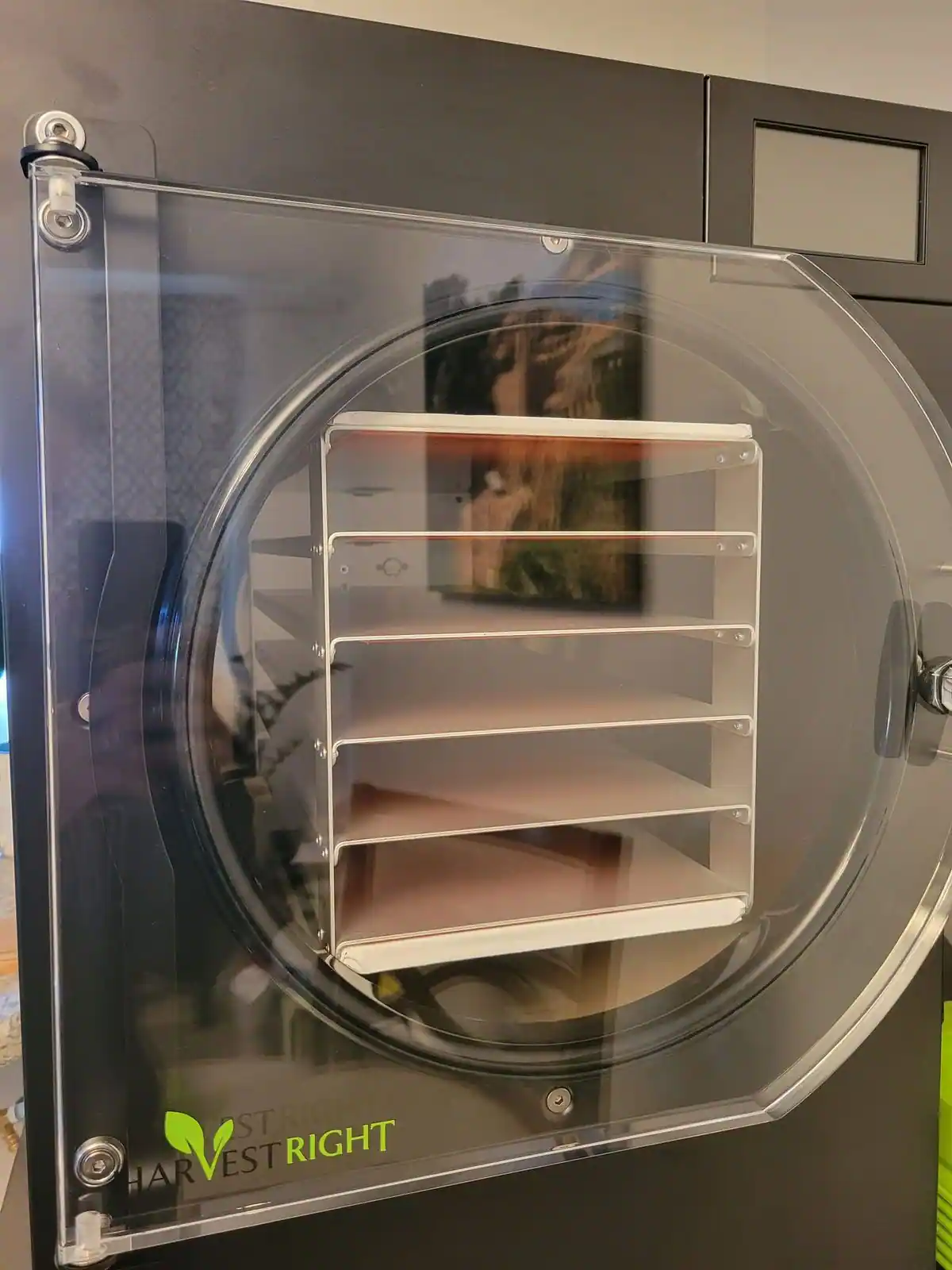 How Freeze Drying Works: Benefits, Uses, and Step-by-Step Guide